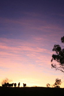 The Mod Squad - Season 5