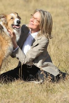Darling-Companion-–-Ein-Hund-fürs-Leben