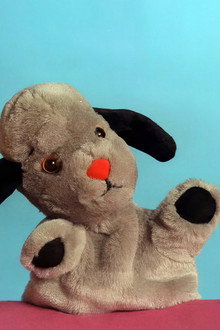 Sooty & Co.