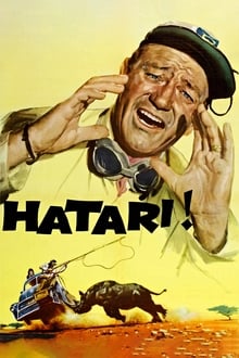 Hatari! poster