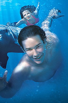 Vicky e i delfini