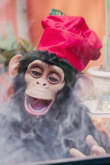 C.H.U.E.C.O - Season 1