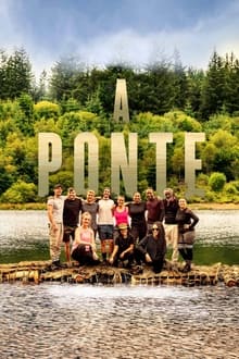 Poster da série A Ponte