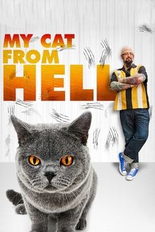 My Cat from Hell My Cat from Hell