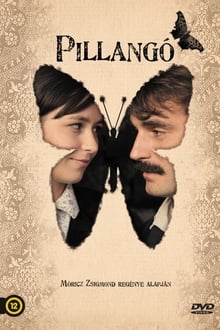 Poster do filme Pillangó