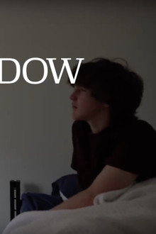 The Window