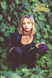 Buffy the Vampire Slayer