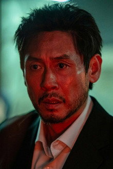 들쥐