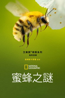 第 1 季