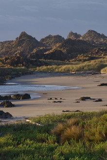 Tasmaniens wundersame Tierwelt