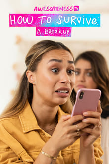 Poster da série How to Survive a Break-Up