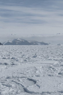 Antarctica in a Warming World