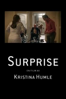 Poster do filme Surprise
