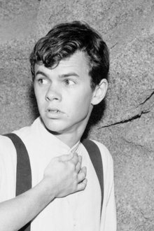 Photo of Peter Helm