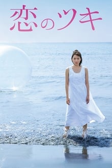 Love and Fortune tv show poster