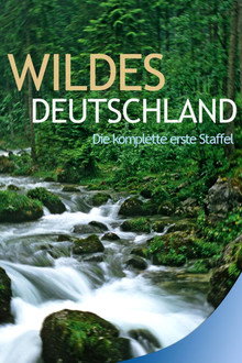 Sezon 1