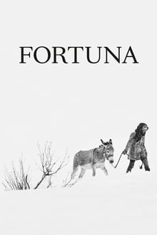 Poster do filme Fortuna