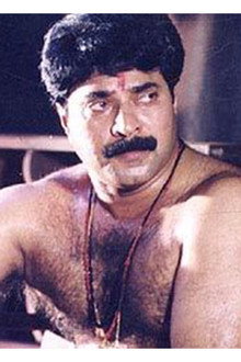 പല്ലാവൂർ ദേവനാരായണൻ