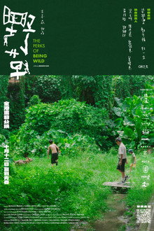 The Perks of Being Wild