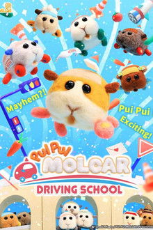 Driving School
