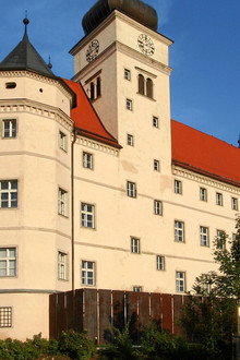 Hartheim : le château de l'horreur nazie