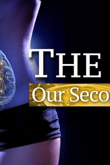 The-Gut-Our-Second-Brain
