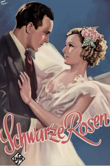 Schwarze Rosen