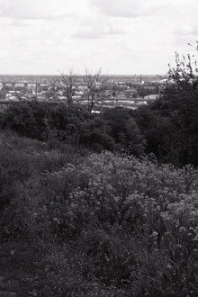 І тоді зникла тиша