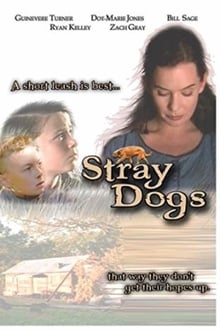 Poster do filme Stray Dogs