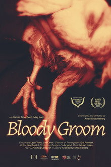 Bloody Groom