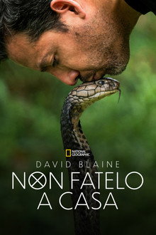 Stagione 1