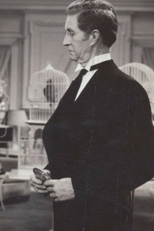 Paddy O'Day