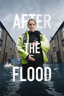 Poster da série After the Flood