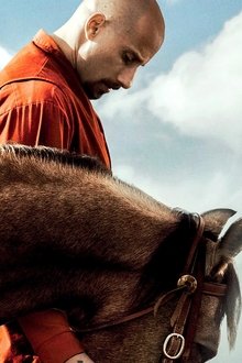 The-Mustang