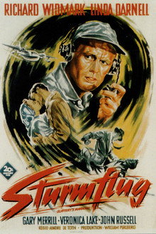 Sturmflug