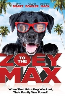 Poster do filme Zoey to the Max