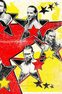 WWE SummerSlam 2009