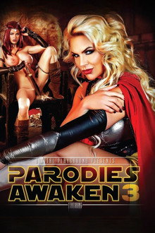 Parodies Awaken 3