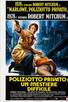 Poliziotto privato: un mestiere difficile