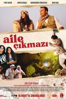 Poster do filme Aile Çıkmazı