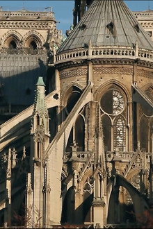 Paris Revealed
