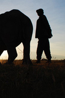 Ol Pejeta Diaries