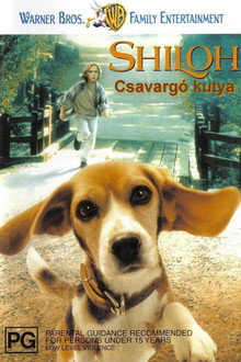 Csavargó kutya
