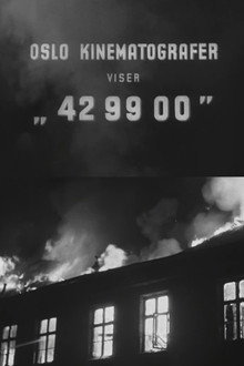 Oslofilm: 42 99 00
