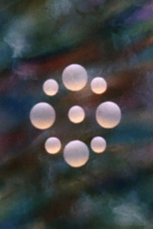 Spheres