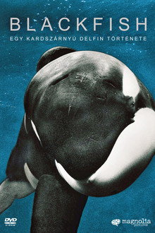 Blackfish – Egy kardszárnyú delfin története