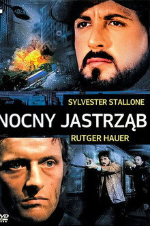 Nocny jastrząb
