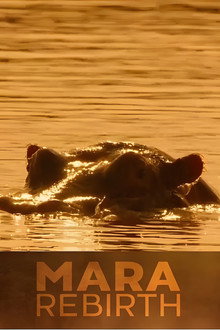 Mara: Rebirth