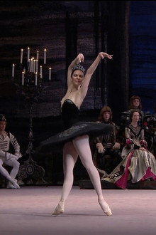 The Bolshoi Ballet Collection - Swan Lake