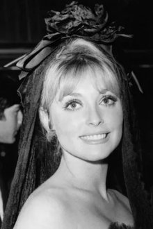 Photo of Sharon Tate